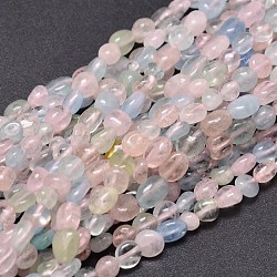 Natural Morganite Chip Beads Strands, Tumbled Stone, 4~7x4~5mm, Hole: 1mm, about 15.5 inch(G-E271-130)