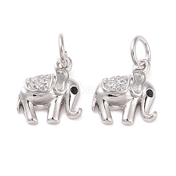 Brass Micro Pave Cubic Zirconia Charms, with Jump Ring, Cadmium Free & Lead Free, Elephant, Platinum, 10.5x9.5x3mm, Hole: 3mm(KK-G418-02P)