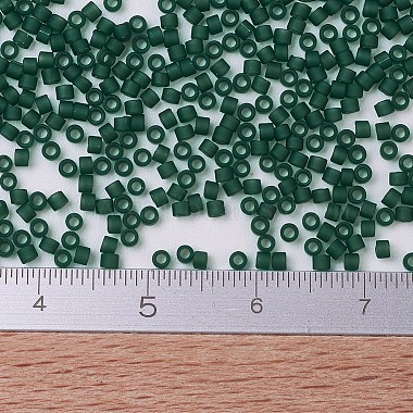 MIYUKI Delica Beads(SEED-J020-DB0767)-4