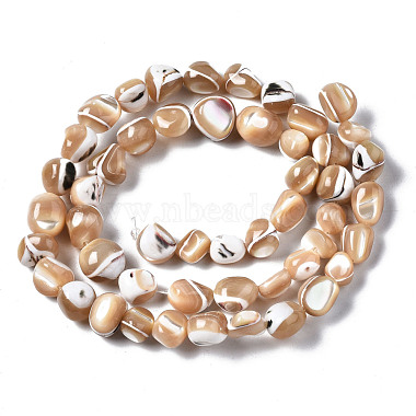 Chapelets de perles de coquille de trochid / trochus coquille(SSHEL-S266-015B)-2