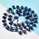 Natural Lapis Lazuli Beads Strands(G-H297-B02-01)-2