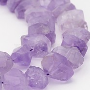 Natural Amethyst Nuggets Bead Strands, 19~26x13~16x8~15mm, Hole: 1mm, 15.7 inch(G-P082-15)