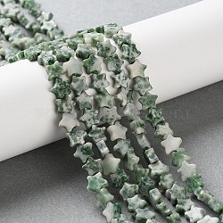 Natural Green Spot Jasper Beads Strands, Star, 6x6x2.5mm, Hole: 0.7mm, about 71~73pcs/strand, 14.37''~14.96''(36.5~38cm)(G-G085-B55-02)