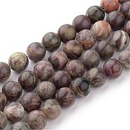 Natural Flower Agate Beads Strands, Round, Dyed, 8~8.5mm, Hole: 1mm, about 47pcs/strand, 15.5 inch(G-Q462-8mm-34)