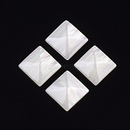 Resin Cabochons, Imitation Shell, Square, Antique White, 16.5x16.5x5mm(RESI-T039-033A)