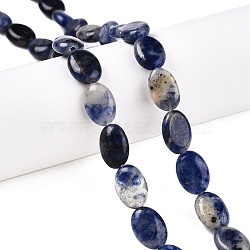 Natural Sodalite Beads Strands, Flat Oval, 14x10x5.5mm, Hole: 1.2mm, about 28pcs/strand, 15.55''(39.5cm)(G-M206-39)