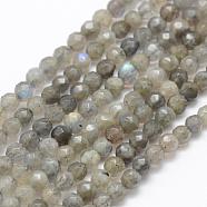 Natural Labradorite Beads Strands, Grade A+, Faceted, Round, 4mm, Hole: 1mm, about 92pcs/strand, 15.1 inch(38.5cm)(G-P322-30-4mm)