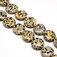 Natural Flat Round Dalmatian Jasper Beads Strands, 20x7~9mm, Hole: 1mm, about 20pcs/strand, 15.74 inch(G-L246-11)