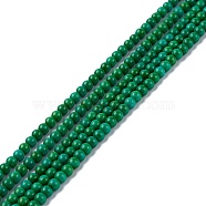 Synthetic Turquoise Beads Strands, Dyed, Round, Dark Green, 3mm, Hole: 1mm, about 136pcs/strand, 15.75~15.91 inch(40~40.4cm)(TURQ-Z002-03)