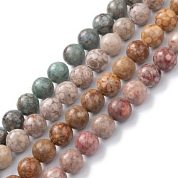 Natural Maifanite/Maifan Stone Beads Strands, Dyed, Round, Mixed Color, 8mm, Hole: 1.2mm, about 47pcs/strand, 15.55''(39.5cm)(G-P451-01A)