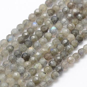 Natural Labradorite Beads Strands, Grade A+, Faceted, Round, 4mm, Hole: 1mm, about 92pcs/strand, 15.1 inch(38.5cm)