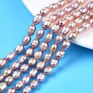 Natural Cultured Freshwater Pearl Beads Strands, Rice, Plum, 7.5~11x6~7.5mm, Hole: 0.8mm, about 37~43pcs/strand, 14.06 inch~14.29 inch(35.7cm~43cm)(X-PEAR-N012-06A)