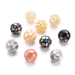 Natural Mixed Shell Beads, Round, Mixed Color, 12.5mm, Hole: 1mm(SSHEL-T014-37-12mm)
