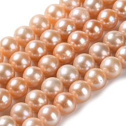 Natural Pearl Beads Strands, Round, Grade 4A+, PeachPuff, 7.5~8mm, Hole: 0.5mm, about 52pcs/strand, 15.87''(40.3cm)(PEAR-E018-24)