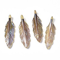 Natural Freshwater Shell Pendants, Brass Edge Golden Plated, Leaf, Saddle Brown, 44~45x12~13x4~5mm, Hole: 1.2mm(X-SHEL-N026-138)