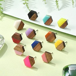 Resin & Walnut Stud Earrings, with 316 Steel Needle, Hexagon, Stainless Steel Color, Mixed Color, 15.5x11.5mm(EJEW-R013-01P)