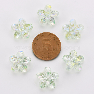 Transparent Acrylic Beads(TACR-S154-45C-327)-3