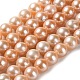 perles de nacre naturelle brins(PEAR-E018-24)-1