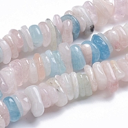 Natural Morganite Beads Strands, Flat Chip, 11~17x9~11x2~4mm, Hole: 0.9mm, about 124pcs/strand, 15.75 inch(40cm)(G-G841-B01)