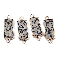 Natural Dalmatian Jasper Links Connectors, with Light Gold Tone Brass Findings, Rectangle, 27~30x10x2.5mm, Hole: 2.5mm(G-N326-33D)