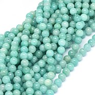 Natural Amazonite Beads Strands, Round, 9~10mm, Hole: 0.8mm, about 40~41pcs/strand, 15.3~15.7 inch(39~40cm)(G-F602-02-10mm)