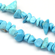 Dyed Synthetic Turquoise Stone Bead Strands, Chip, 8~18x6~12x3~7mm, Hole: 1mm, about 160pcs/strands, 34.6 inch(G-R192-B24)
