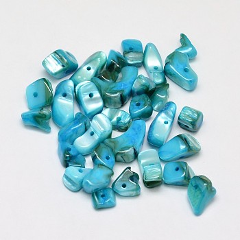 Dyed Natural Freshwater Shell Chips Beads, Shell Shards, Light Sky Blue, 7~11x5~8mm, Hole: 1mm, about 980pcs/500g