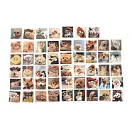 52Pcs 52 Styles PVC Plastic Animal Cartoon Stickers Sets, Adhesive Decals for DIY Scrapbooking, Photo Album Decoration, Dog Pattern, 44.5x44.5x0.2mm, 1pc/style(STIC-P004-25A)