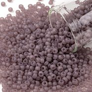TOHO Round Seed Beads, Japanese Seed Beads, Frosted, (151F) Ceylon Frost Grape Mist, 8/0, 3mm, Hole: 1mm, about 1110pcs/50g(SEED-XTR08-0151F)