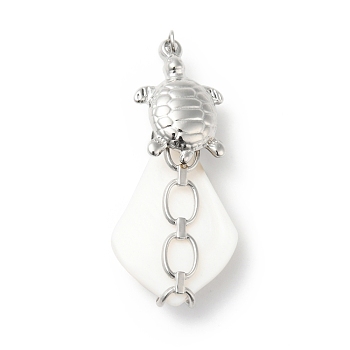 Natural White Shell Pendants, Teardrop Charm, with Stainless Steel Color Plated 304 Stainless Steel Tortoise Findings and Jump Ring, Stainless Steel Color, 35~44x18~20x8~10mm, Hole: 3mm