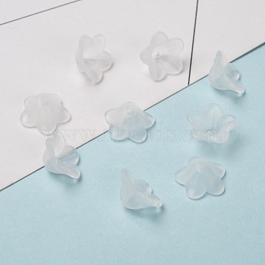 Transparent Acrylic Beads(X-PL560-1)-3