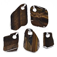 Natural Tiger Eye Pendants, with Edge Plated, Mixed Shaped, Platinum Plated, 31~61x21~38x3~4.5mm, Hole: 6mm(G-N0326-61P)