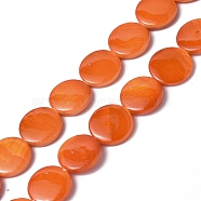 Spray Painted Natural Freshwater Shell Beads Strands, Flat Round, Orange, 12.5x3mm, Hole: 1mm, about 32pcs/strand, 15.63 inch(39.7cm)(SHEL-C003-05A)