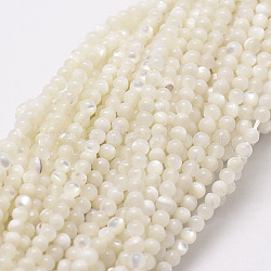 Natural White Shell Beads, Mother of Pearl Shell Beads Strands, Round, 2mm, Hole: 0.5mm, about 190pcs/strand(G-N0190-11-2mm)