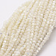 Natural White Shell Beads(G-N0190-11-2mm)-1