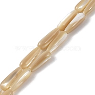 Natural Trochus Shell Beads, Teardrop, Wheat, 16x5mm, Hole: 0.8mm(PEAR-B002-01B-B)