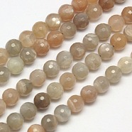 Natural Multi-Moonstone Beads Strands, Faceted, Round, 10mm, Hole: 1mm, about 39pcs/strand, 15.7 inch(G-J157-10mm-10)