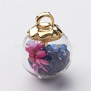 Glass Ball Pendants, with CCB Plastic Findings, Random Dried Flower and Rhinestone, Dark Blue, 20x15.5mm, Hole: 3.5mm(GLAA-N0020-02D)