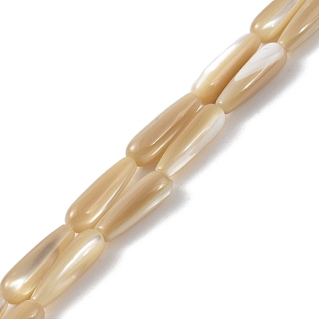 Natural Trochus Shell Beads, Teardrop, Wheat, 16x5mm, Hole: 0.8mm