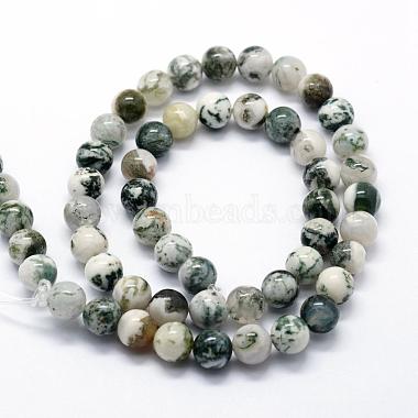 Natural Tree Agate Beads Strands(G-I199-03-8mm)-5