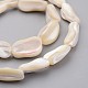 Natural Shell Bead Strands(BSHE-P021-04)-3