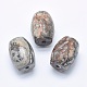 Natural Map Stone/Picasso Stone/Picasso Jasper Beads(G-P384-U18)-1