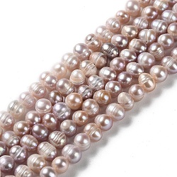 Natural Cultured Freshwater Pearl Beads Strands, Potato, Grade A+, Rosy Brown, 5.5~7x6~6.5mm, Hole: 0.7mm, about 53~54pcs/strand, 12.99~13.15 inch(33~33.4cm)(PEAR-E018-84)