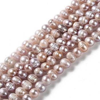Natural Cultured Freshwater Pearl Beads Strands, Potato, Grade A+, Rosy Brown, 5.5~7x6~6.5mm, Hole: 0.7mm, about 53~54pcs/strand, 12.99~13.15 inch(33~33.4cm)