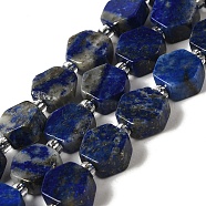 Natural Lapis Lazuli Beads Strands, Hexagon, with Seed Beads, 8.5~9x8.5~10x4~5mm, Hole: 1mm, about 37~38pcs/strand, 15.55''~15.75''(39.5~40cm)(G-P534-A12-02)