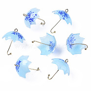 Printed Acrylic Pendants, with Golden Plated Brass Findings, 3D Umbrella with Flower Pattern, Royal Blue, 22~24x18x18mm, Hole: 1.2~1.8mm(KY-S163-397E)
