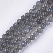 Natural Labradorite Beads Strands, Grade AB+, Round, 6mm, Hole: 0.8mm, about 62~65pcs/strand, 15.3 inch(G-S333-6mm-035)