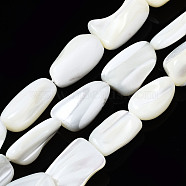Natural Trochid Shell/Trochus Shell Beads Strands, Nuggets, Bleach, Seashell Color, 12~17x5~14x3~9mm, Hole: 0.7mm, about 24~30pcs/strand, 16.14 inch(41cm)(SSHEL-S266-014A)