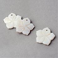 Sea Shell Pendants, Flower, Creamy White, 21~21.5x22~22.5x2~3mm, Hole: 2mm(SSHEL-Q296-15)