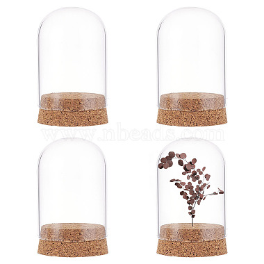 Clear Glass Bell Jars